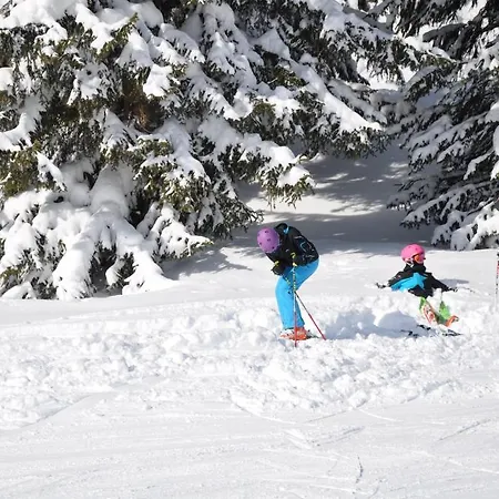Edelweiss 샬레 비어베르그