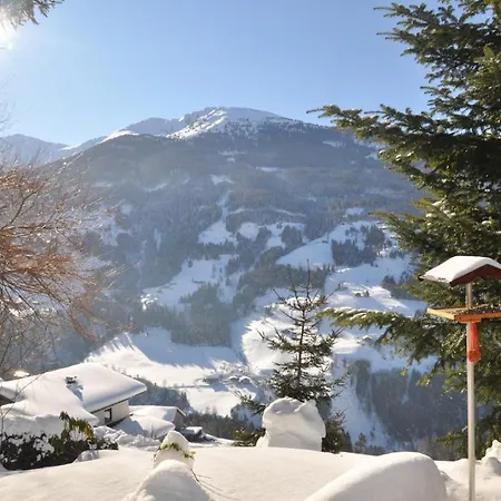 雪绒花小屋酒店 韦伯格