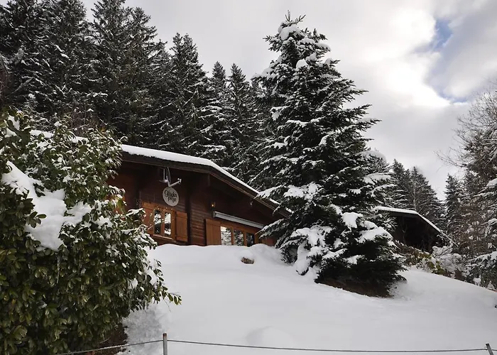 Edelweiss Chalet Weerberg