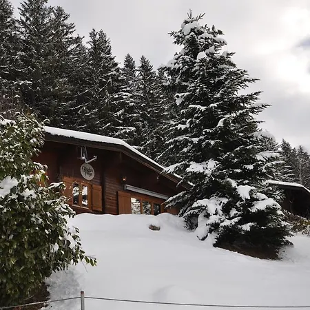 Edelweiss Chalet Weerberg